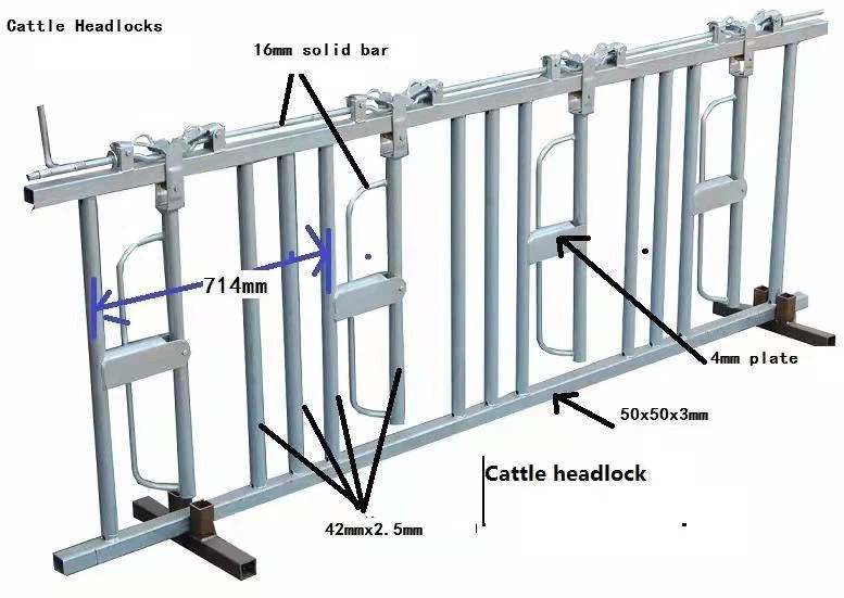 COW HEADLOCK 3M 4 COWS-SHENGXIN