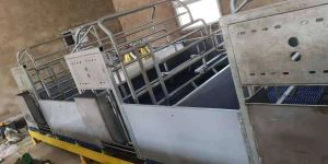 Llawr Defnydd Adeiladu Crate Ffarwelio Pig Farm